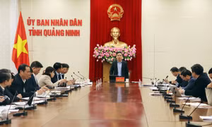 Quảng Ninh: Quyết tâm phấn đấu tăng trưởng GRDP đạt cao nhất
