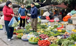 Nguyên liệu ở chợ ngày càng đắt đỏ, quán ăn tăng giá đến 10.000 đồng/suất