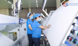 Hải Hà: Phấn đấu đạt mục tiêu tăng trưởng cao nhất