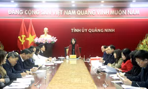 Ban Chấp hành Đảng bộ Các cơ quan Đảng tỉnh họp triển khai nhiệm vụ