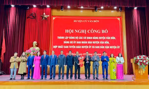 Vân Đồn công bố quyết định thành lập các cơ quan Đảng