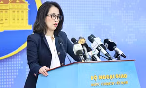 Việt Nam sẵn sàng tham gia nỗ lực quốc tế giải quyết xung đột Nga-Ukraine