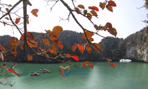 Vịnh Hạ Long đẹp thơ mộng trong mùa lá đỏ