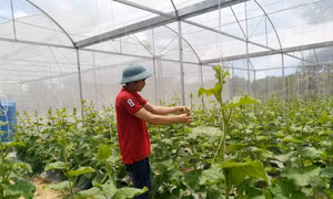 Trương Thế Đô - Tấm gương khởi nghiệp từ quê nhà