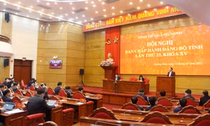 Hội nghị Ban Chấp hành Đảng bộ tỉnh lần thứ 22