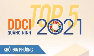 Top 5 bảng xếp hạng chỉ số DDCI Quảng Ninh năm 2021