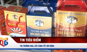Quan Lạn phát triển kinh tế biển