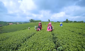 Hiện thực hóa khát vọng thoát nghèo, làm giàu