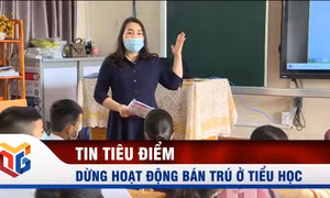 Quảng Ninh: Các cơ sở giáo dục tiểu học tạm dừng hoạt động bán trú