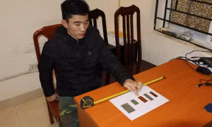 Khởi tố vụ án giết người trong vụ bé 3 tuổi bị găm đinh vào đầu