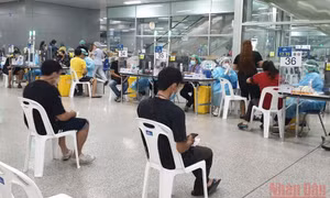 Số ca nhiễm Omicron tăng mạnh, Thái Lan áp dụng hình thức làm việc tại nhà