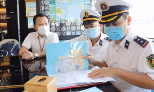 Mở cửa đón khách tham quan Vịnh Hạ Long: Kiểm soát an toàn phương tiện, phòng dịch từ đầu