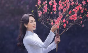 Những nẻo đường xuân khắp Việt Nam