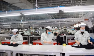 13.000 doanh nghiệp thành lập mới trong tháng đầu tiên năm 2022