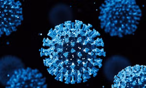Các chuyên gia Trung Quốc tìm thấy chủng virus Corona mới