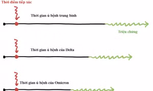 Omicron qua 5 biểu đồ