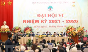Phó Chủ tịch Quốc hội dự Đại hội lần thứ VI Hội Người cao tuổi