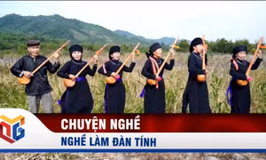 Nghề làm đàn tính