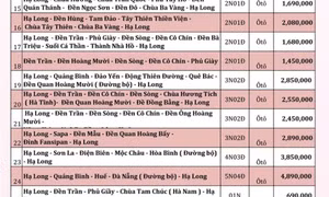 Tour lễ hội xuân 2022