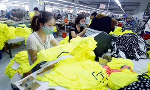 FTA phát huy hiệu quả: Xung lực thúc đẩy xuất khẩu