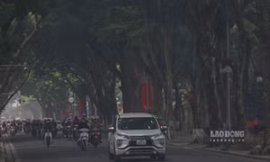 Khả năng xuất hiện áp thấp nhiệt đới trên Biển Đông sát Tết Nguyên đán 2022