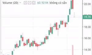 Hủy giao dịch bán cổ phiếu FLC của ông Trịnh Văn Quyết