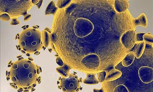 WHO giải thích cơ chế tiến hóa của virus SARS-CoV-2