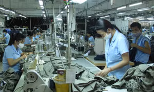 Phạt đến 20 triệu đồng nếu không cho lao động nữ nghỉ 30 phút ngày 'đèn đỏ'