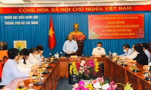Cần hoàn thiện thể chế, pháp luật sau các vụ việc bán cổ phiếu chui, tiến hành đấu giá đất