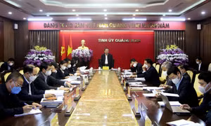 Xây dựng kịch bản phục hồi nhanh, bền vững ngành Du lịch thích ứng an toàn, linh hoạt dịch Covid-19