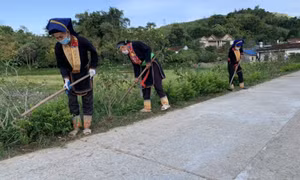 Đa dạng hoạt động hướng về cơ sở
