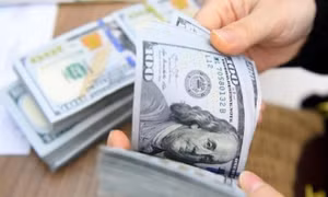 Tỷ giá USD hôm nay 23/1: USD lao dốc