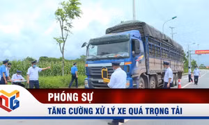 Tăng cường xử lý xe quá trọng tải