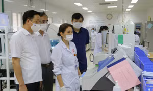 Nâng cao chất lượng, hiệu quả hoạt động giám sát, phản biện xã hội
