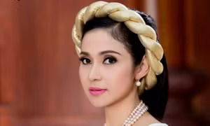 Việt Trinh giải nghệ