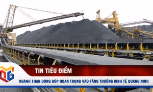 Ngành than đóng góp quan trọng vào tăng trưởng kinh tế Quảng Ninh