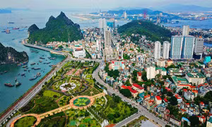 Niềm tin và ước vọng đầu năm mới
