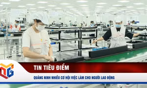 Quảng Ninh: Nhiều cơ hội việc làm cho người lao động