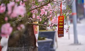 Đông Bắc Bộ sáng mưa phùn, ngày nắng trước khi đón gió mùa Đông Bắc