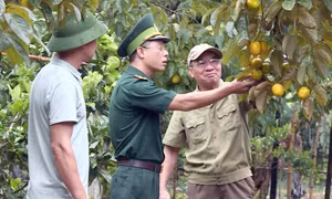 Dấu ấn đảng viên biên phòng tăng cường cơ sở