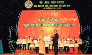 Quảng Ninh có một nông dân sản xuất kinh doanh giỏi được nhận bằng khen của Thủ tướng