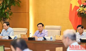 Khắc phục tình trạng “quân xanh, quân đỏ” trong đấu thầu
