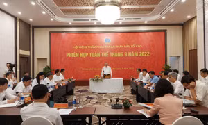 Hội đồng Thẩm phán TAND tối cao cho ý kiến đối với đề nghị xây dựng Luật Tư pháp người chưa thành niên