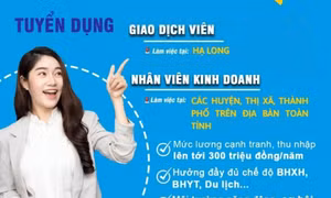 Trung tâm Kinh doanh VNPT - Quảng Ninh thông báo tuyển dụng năm 2022