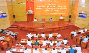 Sơ kết công tác tổ chức xây dựng Đảng 9 tháng năm 2022