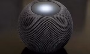 Google Assistant, Alexa tác động tiêu cực đến việc phát triển kiến thức bình thường của trẻ em