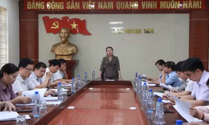 Phó Chủ tịch Thường trực HĐND tỉnh khảo sát Chương trình xây dựng NTM trên địa bàn TX Quảng Yên