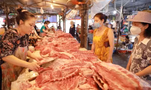 Giá lợn hơi tiếp tục giảm sâu