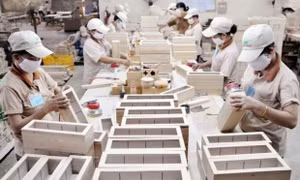 Doanh nghiệp thích ứng nhanh với điều kiện từ Hiệp định CPTPP