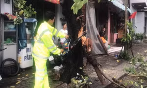 Cập nhật nhanh về thiệt hại do bão số 4 gây ra tại các tỉnh miền trung
